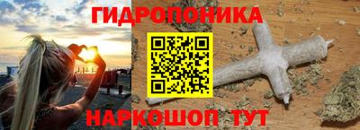 гидра Будённовск