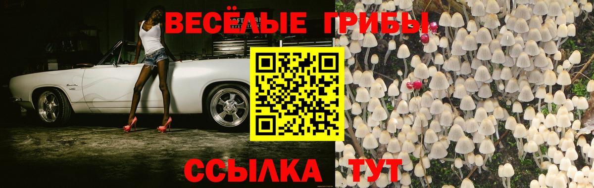 Псилоцибиновые грибы ЛСД Элиста