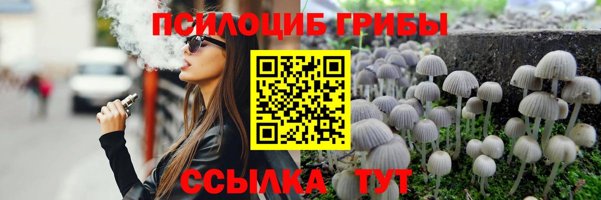 Элиста  Галлюциногенные грибы Psilocybe  Галлюциногенные грибы прущие грибы  где продают наркотики  Вход с VPN 